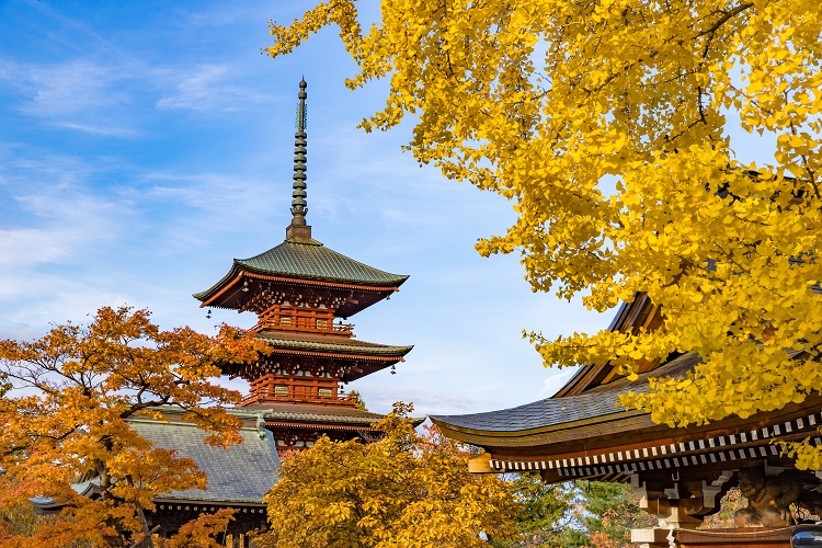 最勝院 五重塔